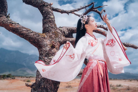 网红打卡 网红打卡